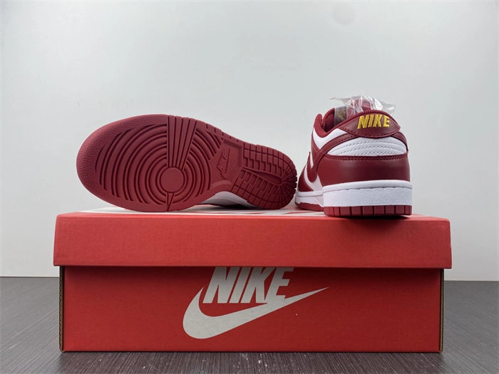 Nike Dunk Low USC DD1391- Fashionable 4814