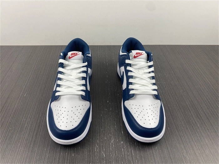 Nike Dunk Low Valerian Blue DD1391- Practical 4819