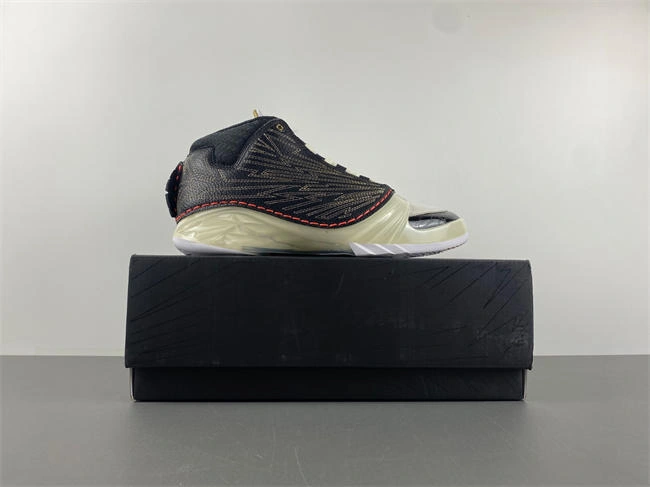 Titan x Air Jordan 23 CZ6222- SunProtective 5287